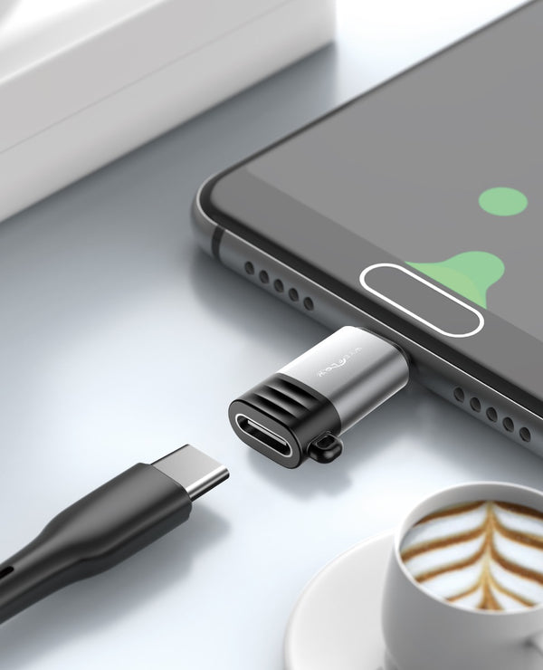 WYEFLOW USB-C to Micro Mini Adaptor